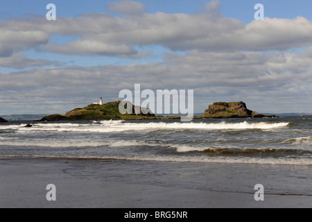 Fidra Island dans le Firth of Forth, East Lothian, Ecosse-1 Banque D'Images