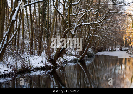 Vue sur Canal De Cromford dans le Derbyshire Dales dans le Peak District en Angleterre UK avec arbres se reflétant dans l'eau en hiver froid Banque D'Images