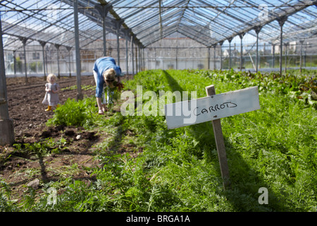 Ballymaloe Cookery School la seule école de cuisine dans le monde situé au milieu de sa propre ferme biologique de 100 acres en Irlande Banque D'Images