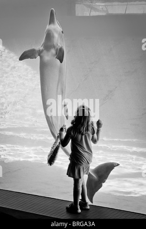 Petite fille de 7 ans regarde les dauphins à la Texas State Aquarium à Corpus Christi, au Texas. Banque D'Images