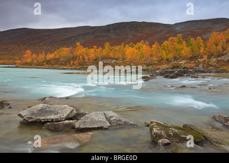 Rivière et couleurs d'automne à Strynefjellet, la Norvège. Banque D'Images