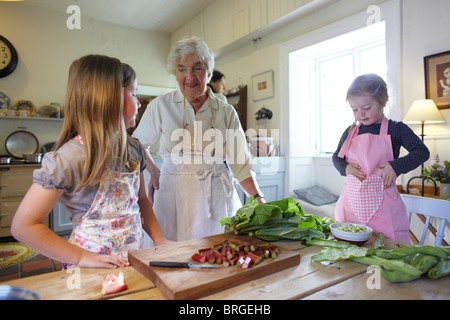 Ballymaloe Cookery School la seule école de cuisine dans le monde situé au milieu de sa propre ferme biologique de 100 acres en Irlande Banque D'Images