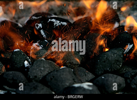 Le charbon de bois brûlant biscuits mis le feu dans un barbecue Banque D'Images