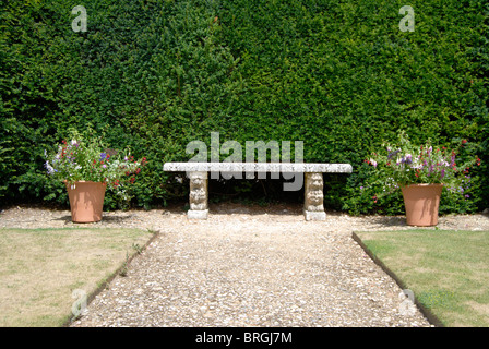 Banc en pierre ouvragée entre deux pots de fleurs en face de haie vive dans un jardin anglais. Banque D'Images