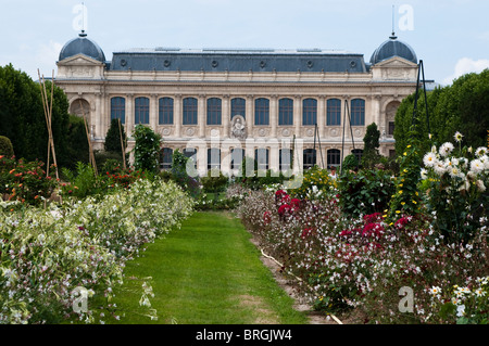 Jardin des Plantes, Jardin des Plantes, Paris, France Banque D'Images