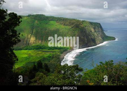 Vue depuis le centre d'accueil et d'un belvédère sur la vallée Waipio et plage, Hamakua Coast, Big Island, Hawaii, USA. Banque D'Images