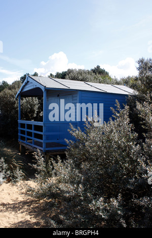 Cabines de plage EN BORD DE MER À OLD HUNSTANTON. NORTH NORFOLK UK. Banque D'Images