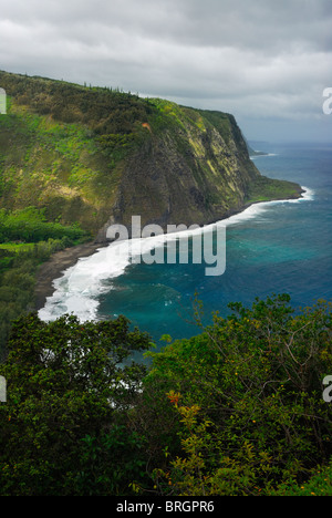 Vue depuis le centre d'accueil et d'un belvédère sur la vallée Waipio et plage, Hamakua Coast, Big Island, Hawaii, USA. Banque D'Images