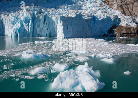 Le Groenland, côte sud-est, Skjoldungen Fjord. Le recul des glaciers du Groenland. Banque D'Images