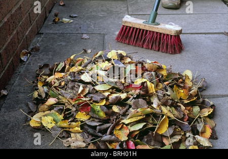 Balayant d'un tas de feuilles mortes avec un balai, UK Banque D'Images