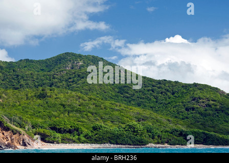 Sud-est de la côte, Antigua, Antilles, Caraïbes, Amérique Centrale Banque D'Images