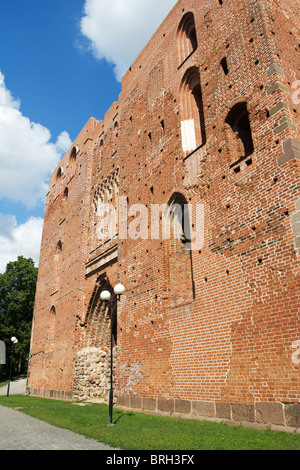 La Cathédrale de Dorpat à Tartu, Estonie Banque D'Images