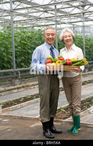 Farmer holding vegetables in modern farm Banque D'Images