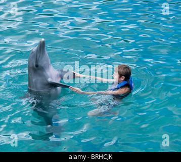 Nager avec les dauphins, Mexique Banque D'Images