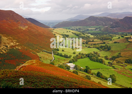 Regardant vers le bas sur la vallée de Newlands de Knott Rigg près de Keswick dans le Parc National du Lake District, Cumbria, Angleterre. Banque D'Images