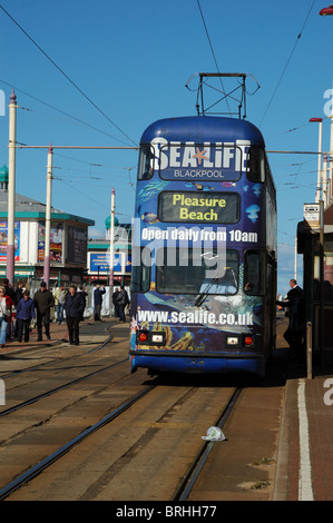 Tramway tramway Blackpool fylde 125e anniversaire de la société Banque D'Images