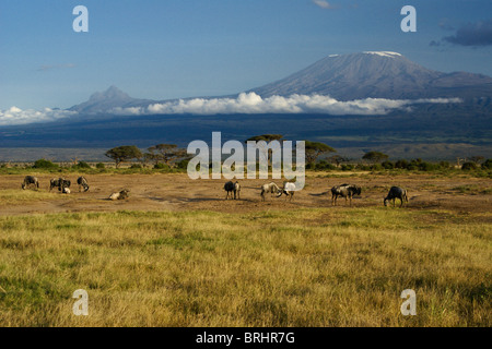 Le mont Kilimandjaro, Tanzanie, vu de Parc National d'Amboseli, Kenya Banque D'Images