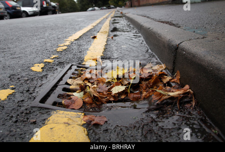 Vidanger bloqué par les feuilles d'automne après la pluie Banque D'Images