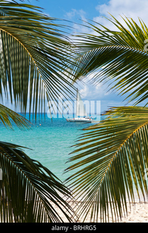 Le Mexique, Cozumel. Playa Miia Grand Beach Park, Isla de Cozumel (l'île de Cozumel). Banque D'Images