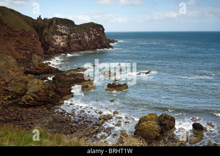 Bay et falaises à St Abbs Head, Berwickshire, en Écosse Banque D'Images