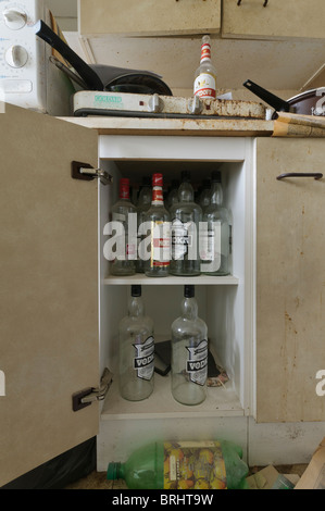 Beaucoup de bouteilles de vodka vides dans une armoire de cuisine Banque D'Images