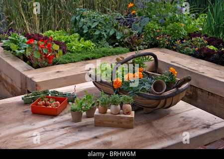 Un petit jardin urbain avec des légumes cultivés en contenants de bois, avec une table de travail et trug Banque D'Images