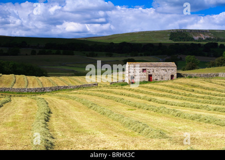 Champ récemment fauché dans Wensleydale montrant seule grange avec portes rouges Banque D'Images