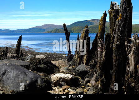 Vue sur le Loch Fyne de Strachur Bay. Jetée en bois abandonnés en premier plan. L'Argyll. L'Ecosse Banque D'Images