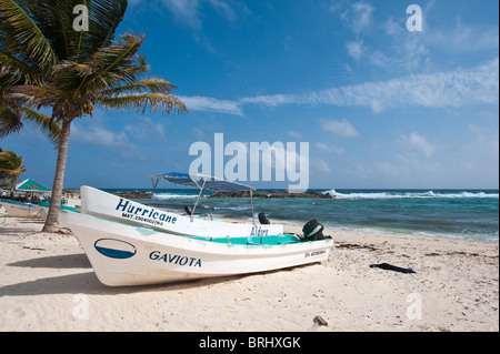 Le Mexique, Cozumel. Playa Chen Rio, Isla de Cozumel (l'île de Cozumel). Banque D'Images