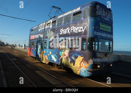 Tramway tramway Blackpool fylde 125e anniversaire de la société Banque D'Images