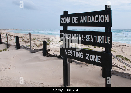 Le Mexique, Cozumel. Plage de ponte des tortues de mer Punta Sur Park, Isla de Cozumel (l'île de Cozumel). Banque D'Images