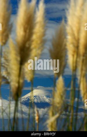 Le Lac Llanquihue et d'Osorno Volcano View de Frutillar au X Region de los Lagos, Chile Banque D'Images