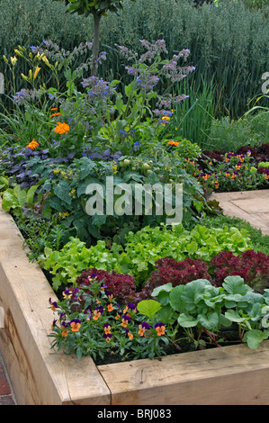 Un petit jardin urbain avec des légumes cultivés en récipient bois Banque D'Images