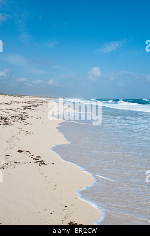 Le Mexique, Cozumel. Plage de Punta Morena, Isla de Cozumel (l'île de Cozumel). Banque D'Images