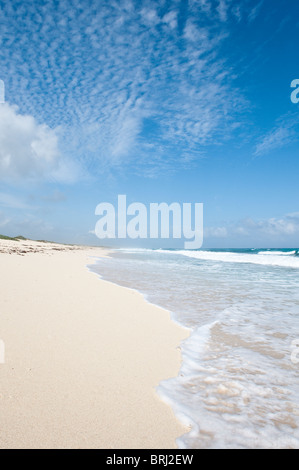 Le Mexique, Cozumel. Plage de Punta Morena, Isla de Cozumel (l'île de Cozumel). Banque D'Images