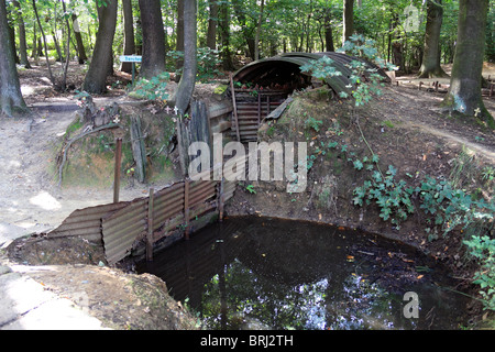 Cratères de bombes et des tranchées de la Première Guerre mondiale, visibles en bois du sanctuaire, Hill 62, près d'Ypres (Ieper) en Belgique. Banque D'Images