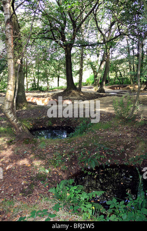 Cratères de bombes et des tranchées de la Première Guerre mondiale, visibles en bois du sanctuaire, Hill 62, près d'Ypres (Ieper) en Belgique. Banque D'Images