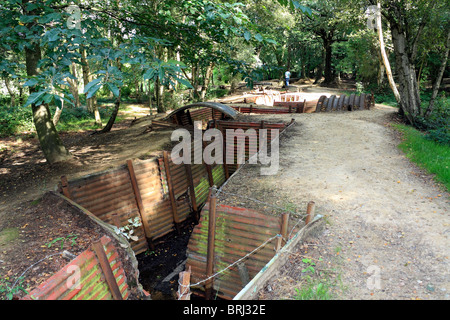 Cratères de bombes et des tranchées de la Première Guerre mondiale, visibles en bois du sanctuaire, Hill 62, près d'Ypres (Ieper) en Belgique. Banque D'Images