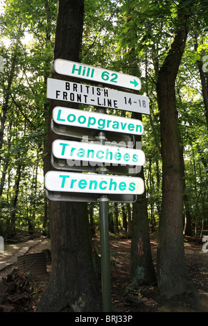 Cratères de bombes et des tranchées de la Première Guerre mondiale, visibles en bois du sanctuaire, Hill 62, près d'Ypres (Ieper) en Belgique. Banque D'Images