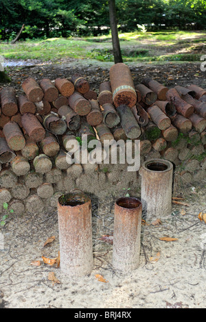 Cas Shell, cratères de bombes et des tranchées de la Première Guerre mondiale, visibles en bois du sanctuaire, Hill 62, près d'Ypres (Ieper) en Belgique. Banque D'Images