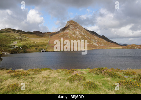 Cregennan les lacs, Gwynedd, Pays de Galles, Royaume-Uni Banque D'Images