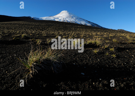 Pentes de volcan Osorno dans la région de los Lagos du sud du Chili Banque D'Images