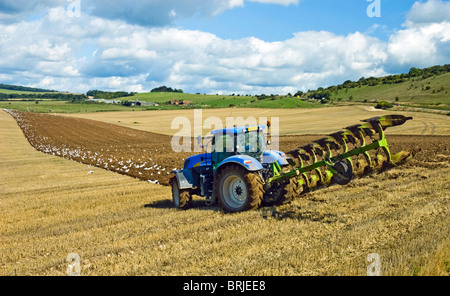Le tracteur laboure un champ couvert de goélands à côté de l'A280 entre l'application de correctifs et de Findon dans le West Sussex, Angleterre. Banque D'Images
