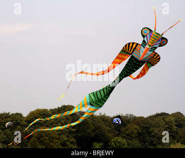 Kites et air creations Bristol Festival 2005 Banque D'Images