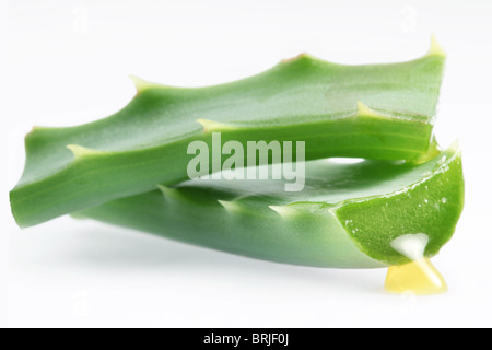 Morceaux de l'aloe vera. Isolé sur un fond blanc. Banque D'Images