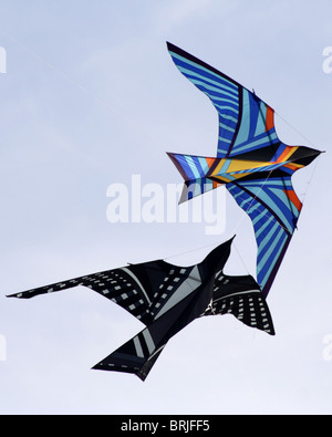 Kites et air creations Bristol Festival 2005 Banque D'Images