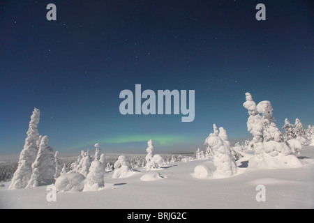 Aurore boréale au paysage de neige dans le Parc National de Riisitunturi la nuit, Finlande Banque D'Images