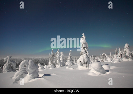 Aurore boréale au paysage de neige dans le Parc National de Riisitunturi la nuit, Finlande Banque D'Images