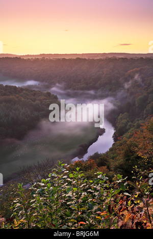 Un matin d'automne brumeux sur la rivière Wye vus de Symond's Yat dans Gloucestershire Banque D'Images
