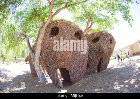 Sculptures tête gros plan, faites avec des bâtons et des vignes, par Patrick Dougherty et les étudiants de l'école Bosque, Albuquerque, Nouveau Mexique Banque D'Images